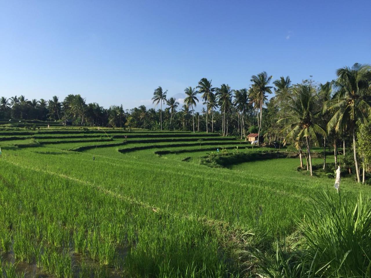 Telagamas Guest House Banjarangkan Exterior foto